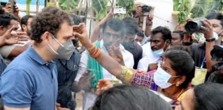 जल्लीकट्टू