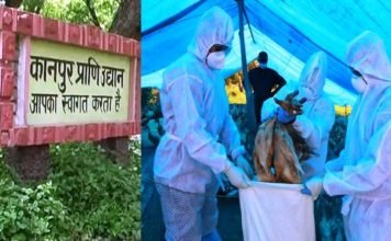 कानपुर चिड़ियाघर