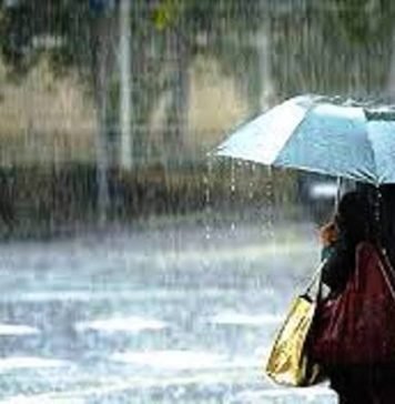 UP में मानसून ने फिर पकड़ी रफ्तार, IMD का अनुमान 31 जुलाई तक भारी बारिश व गिरेगी बिजली मॉनसून ने पकड़ी रफ्तार