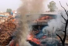 अवैध प्‍लाईवुड फैक्‍ट्री