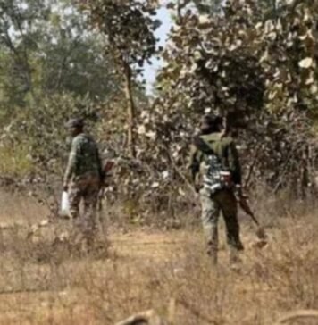महाराष्ट्र के गढ़चिरौली में पुलिस ने मुठभेड़ में मार गिराए 13 नक्सली गढ़चिरौली