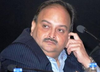 डोमिनिका उच्च न्यायालय