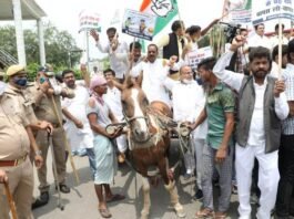 बढ़ती महंगाई के विरोध में कांग्रेस ने निकाला तांगा-रिक्शा मार्च, पुलिस ने हिरासत में लिया तांगा-रिक्शा मार्च