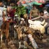 खत्म हुई कन्फ्यूजन, अब 28 मई को यूपी में होगी बकरीद की छुट्टी बकरीद के त्यौहार