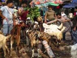 कन्फ्यूजन खत्म, 28 मई को होगी यूपी में बकरीद की छुट्टी बकरीद के त्यौहार