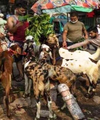 खत्म हुई कन्फ्यूजन, अब 28 मई को यूपी में होगी बकरीद की छुट्टी बकरीद के त्यौहार