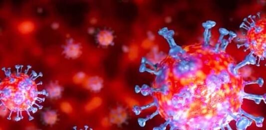 कोरोना वायरस का खतरा