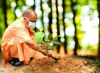 प्रकृति के साथ खिलवाड़