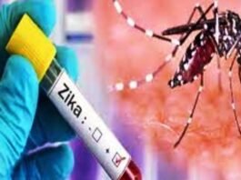 डरने की बात नहीं, कानपुर में भी होगी Zika Virus की टेस्टिंग: स्वास्थ्य मंत्री जीका वायरस