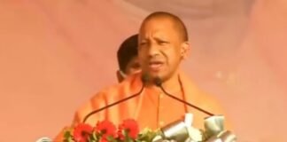 बिजली ही नहीं देते