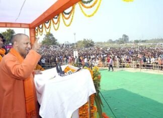 तमंचावादी