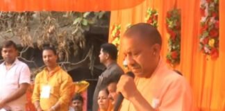 लोकप्रिय सरकार