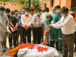 लखनऊ जू में चिम्पांजी जैसन की एकाएक मौत, साथी के बिछड़ने के गम में उदास हुई निकिथा चिम्पांजी जैसन