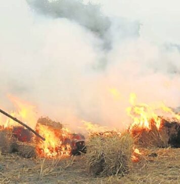 पराली प्रदूषण