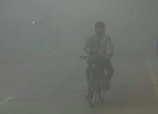 यूपी में पड़ने लगी ठिठुरने वाली सर्दी, कोहरा बढ़ा रहा वाहन चालकों की दिक्कत ठंड और कोहरा