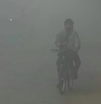 ठंड और कोहरा