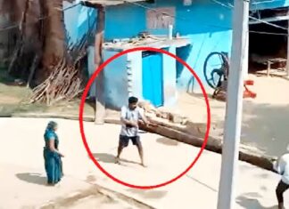 सामने आया जंगलराज