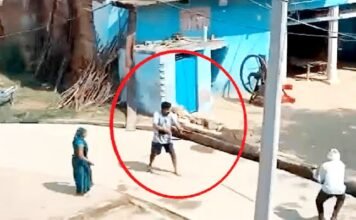 सामने आया जंगलराज
