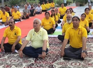भारतीय आदर्श योग संस्थान