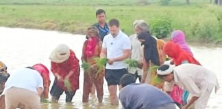 किसानों के बीच राहुल