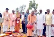 पौधारोपण अभियान