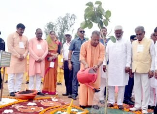 पौधारोपण अभियान