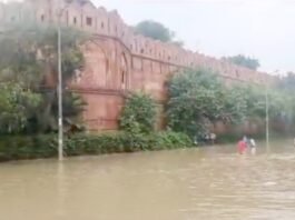 सभी स्कूल बंद