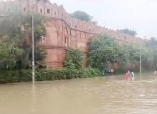 सभी स्कूल बंद