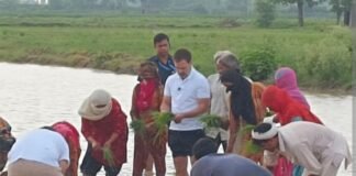 खेत में एकाएक पहुंचे राहुल ने जाना महिला किसानों का दर्द, बोया धान, देखें Video राहुल गांधी