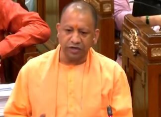 रोजगार सृजन