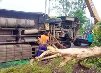 भोपाल से भीलवाड़ा जा रही तेज रफ्तार स्लीपर बस पलटी, 21 यात्री घायल स्लीपर बस