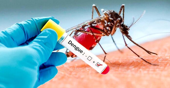 लखनऊ में बढ़ा डेंगू