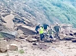नेशनल हाईवे पर भूस्खलन की चट्टान की चपेट में आने से खाई में गिरा ट्रक, चार युवकों की मौत खाई में गिरा ट्रक