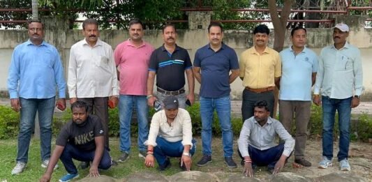 विशालकाय कछुए