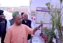 मोटा अनाज