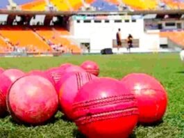 भारत में अब नहीं खेला जाएगा पिंक बॉल टेस्ट मैच, BCCI ने लिया फैसला पिंक बॉल टेस्ट