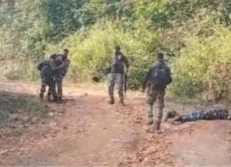 दंतेवाड़ा: IED ब्लास्ट में CRPF के दो जवान घायल दंतेवाड़ा में ब्लास्ट