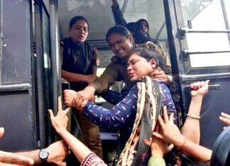 आप का प्रदर्शन