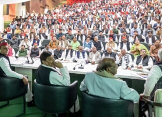 संविधान लोकतंत्र बचाने