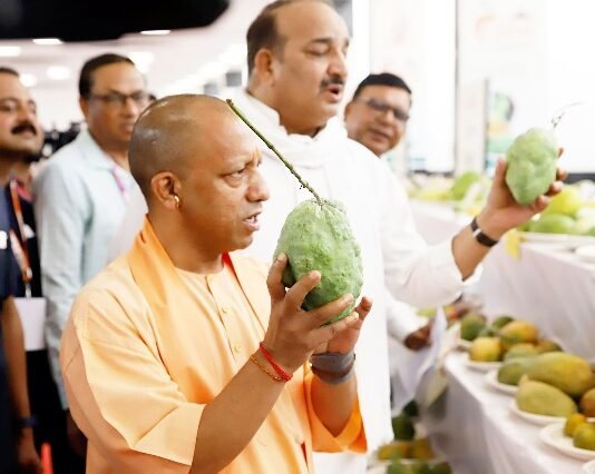 आम महोत्सव