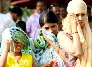 48 घंटे तक प्रदेश में कहर बरसाएगी भीषण गर्मी, 20 जिलों में हीटवेव का अलर्ट जारी गर्मी
