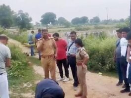 यूपी एसटीएफ
