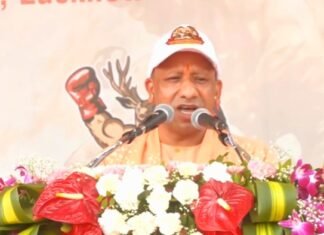 पुलिस रेसलिंग क्लस्टर