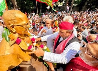 जेपीएनआइसी