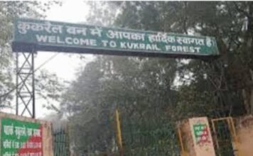 वन विभाग