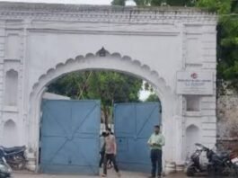 इंडियन पेस्टिसाइड लिमिटेड