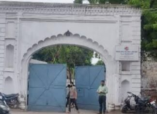 इंडियन पेस्टिसाइड लिमिटेड