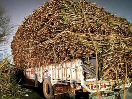 गन्ना से भरा ट्रक पलटने से छह मजदूरों की दर्दनाक मौत, 11 घायल गन्ना से भरा ट्रक