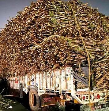 गन्ना से भरा ट्रक पलटने से छह मजदूरों की दर्दनाक मौत, 11 घायल गन्ना से भरा ट्रक