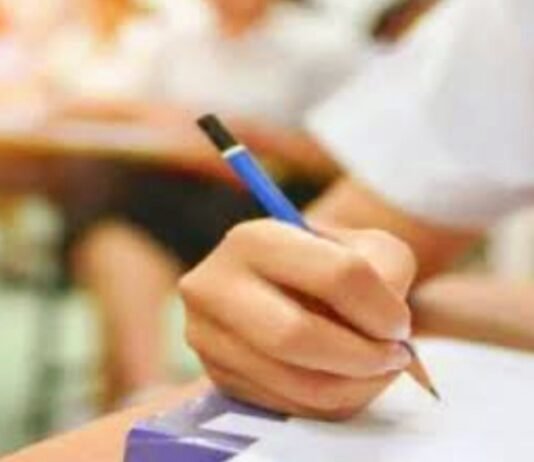 बोर्ड एग्जाम में फेल व असंतुष्ट छात्रों के लिए स्क्रूटनी का नोटिफिकशन जारी, देना होगा 500 स्क्रूटनी